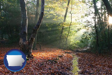 sunbeams in a beech forest - with Iowa icon