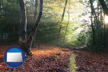 sunbeams in a beech forest - with North Dakota icon