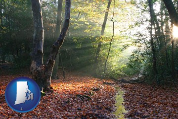 sunbeams in a beech forest - with Rhode Island icon